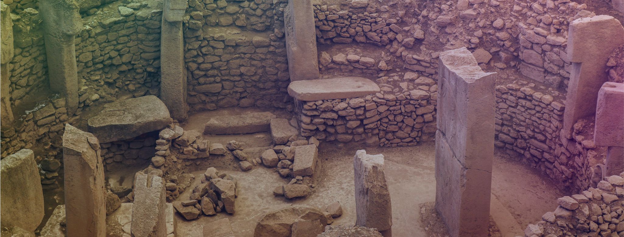 Plus à Révéler
