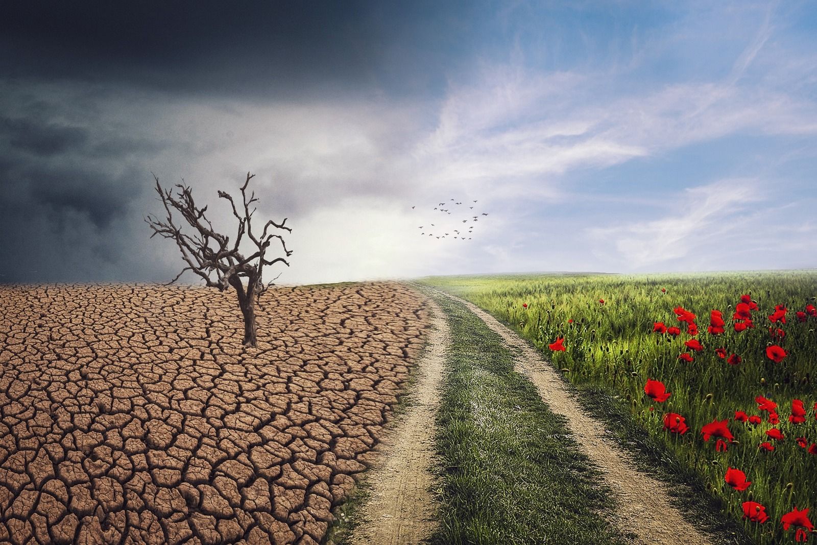 Dérèglement climatique ou dérèglement de vos esprits?